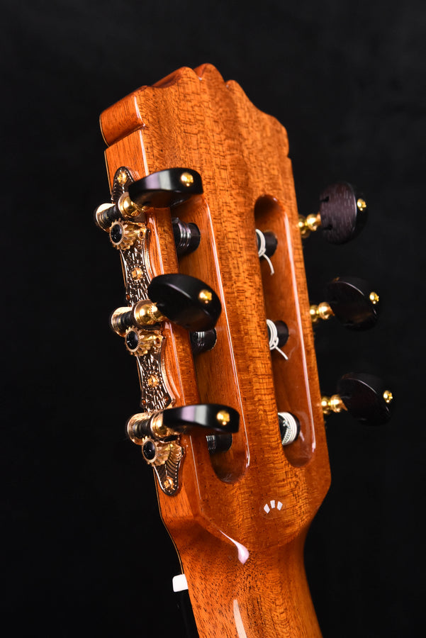 Cordoba C10 Cedar Top Classical Guitar with Case