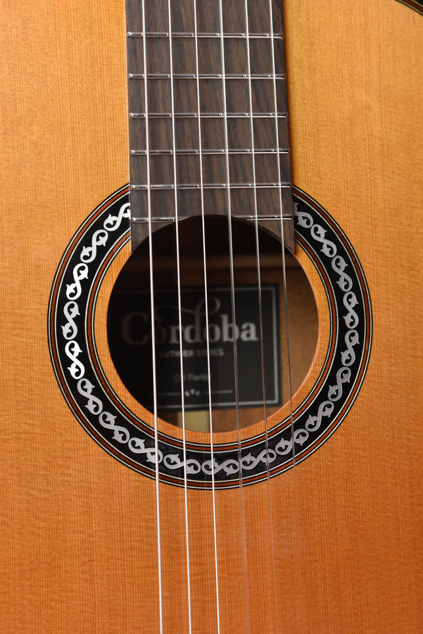Ornate rosette around sound hole and fretboard strings on cedar top guitar