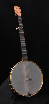 ode 12" moonlight openback banjo