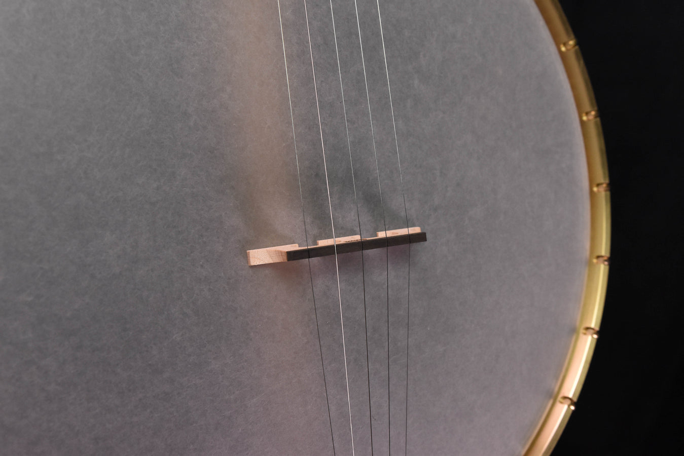 ODE 12" Moonlight Openback Banjo