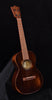 Martin T1 Uke Streetmaster Tenor Ukulele