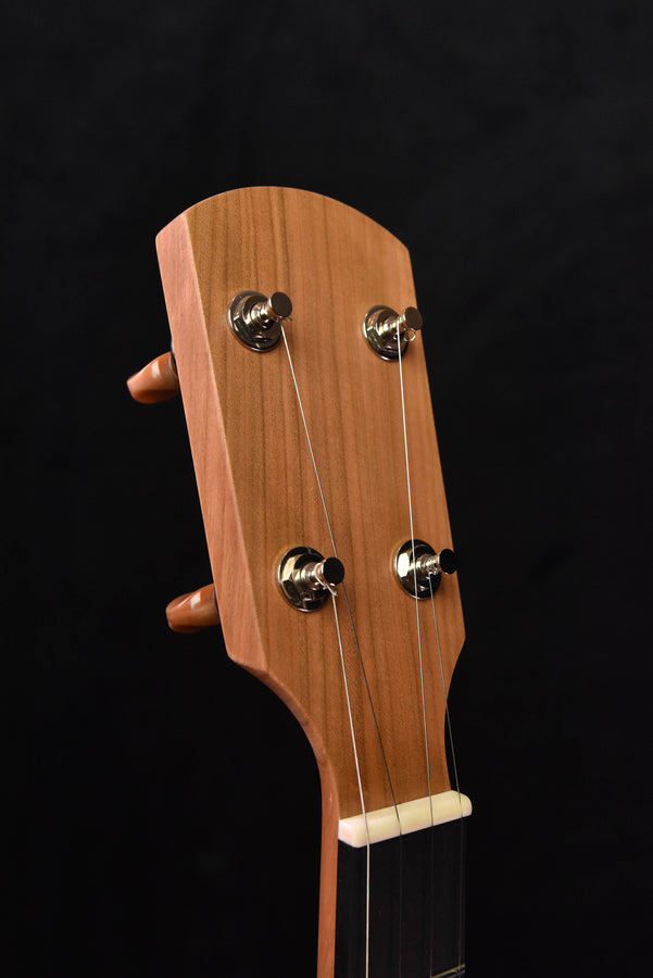 ODE 12" Moonlight Openback Banjo