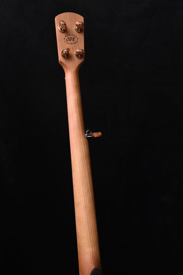 ODE 12" Moonlight Openback Banjo