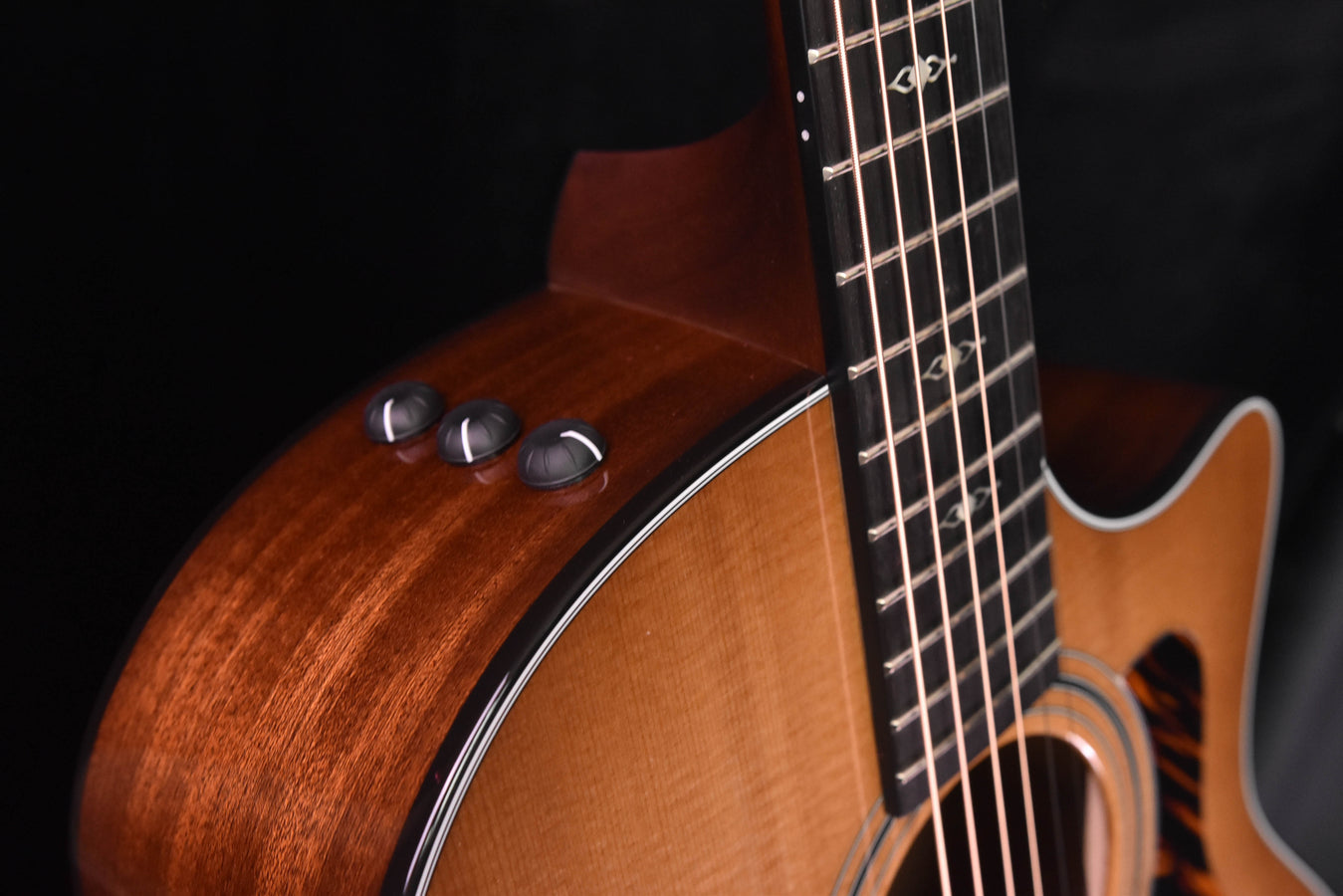 Taylor 314CE LTD Edition 50th Anniversary Acoustic Guitar