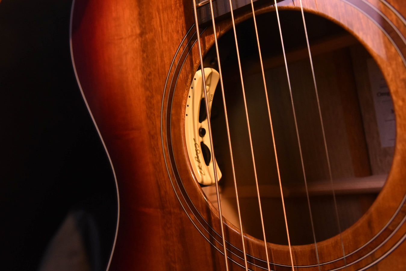 Breedlove Oregon Concert Old Fashioned CE all Myrtlewood acoustic guitar