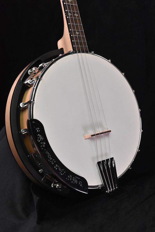 Irish tenor banjo close view of white head, bridge, and neck