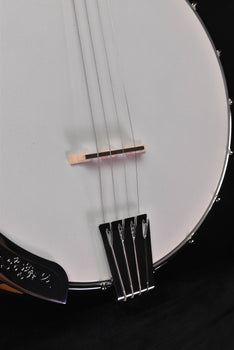 gold tone cripple creek irish tenor banjo cc-irish tenor