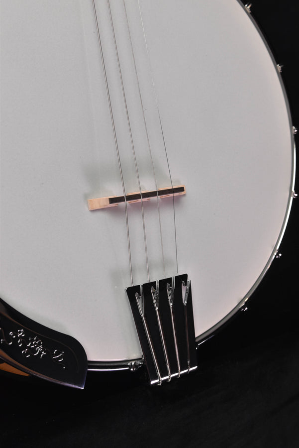 Banjo head close-up showing strings and bridge on a white resonator