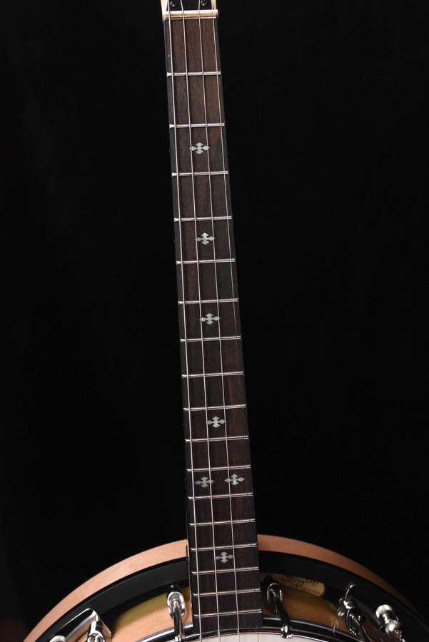 Banjo fretboard with dot inlays and strings, showing neck profile