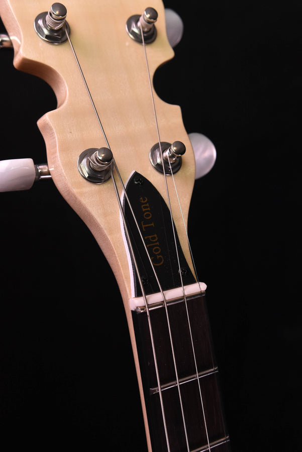 Close-up of banjo headstock strings and “Gold Tone” tuning peg labels