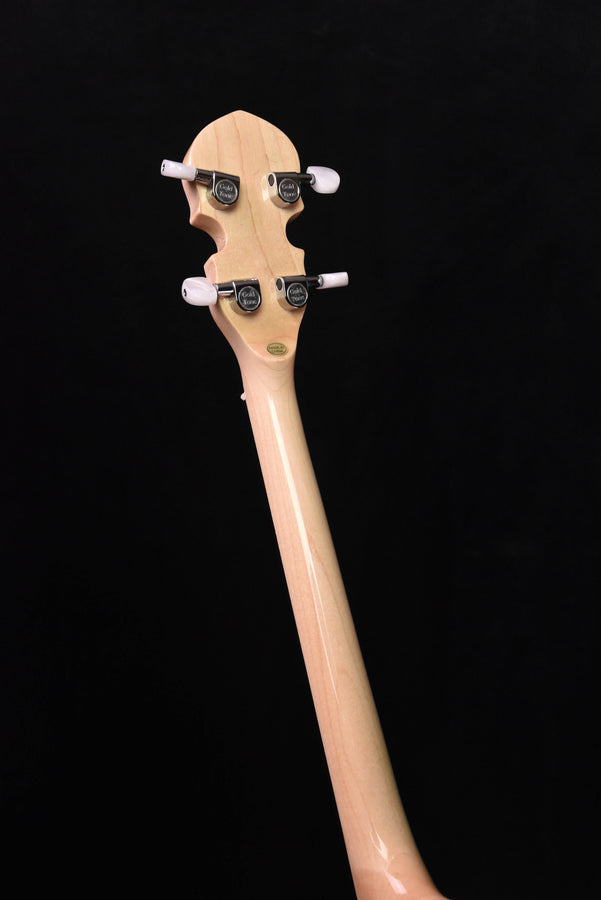 Irish tenor banjo front view showing headstock, tuners, and long neck