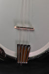 Gold Tone Irish Tenor Mastertone 17 Fret Banjo and Case IT-250F