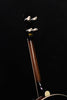 Gold Tone Irish Tenor Mastertone 17 Fret Banjo and Case IT-250F