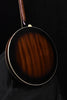 Gold Tone Irish Tenor Mastertone 17 Fret Banjo and Case IT-250F