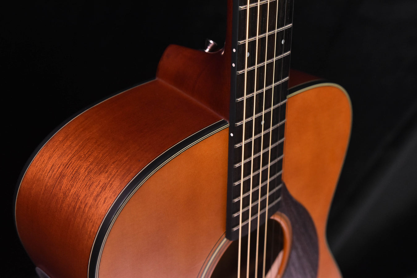 Acoustic guitar close-up of the upper bout and bridge area with dark binding