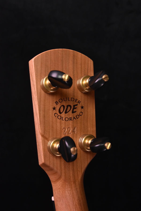 ODE 11" Magician Open Back Five String Banjo