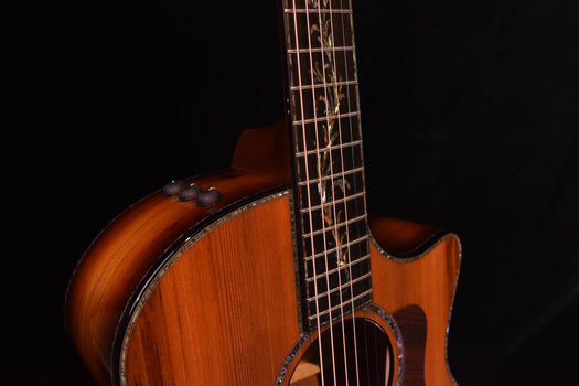 taylor ps14ce honduran rosewood/sinker redwood acoustic electric guitar