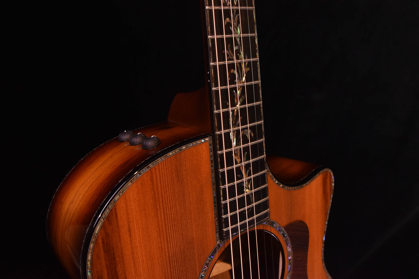 Acoustic electric guitar neck and headstock area with dot inlays and glossy tuning hardware