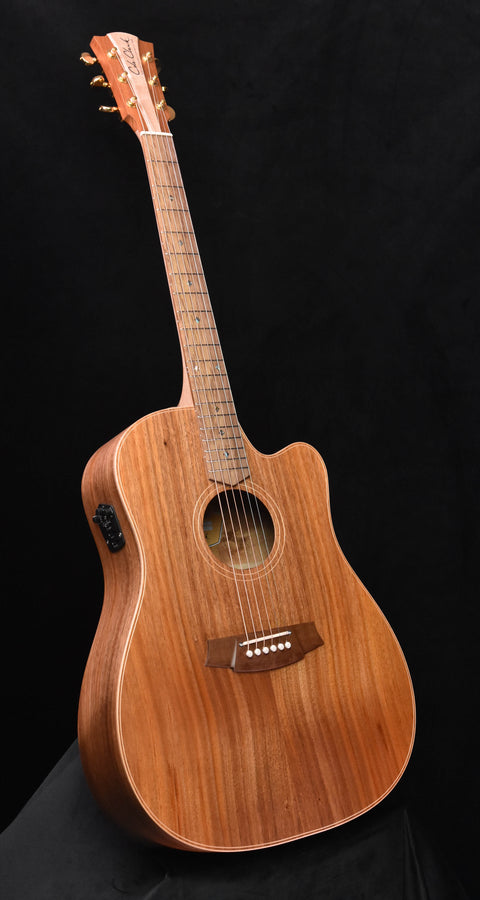 Cole Clark FL2EC All Blackwood Acoustic GuitarCCFL2EC-BLBL