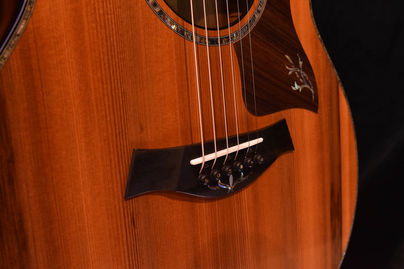 Acoustic electric guitar pickup area on soundboard with bridge saddles and strings