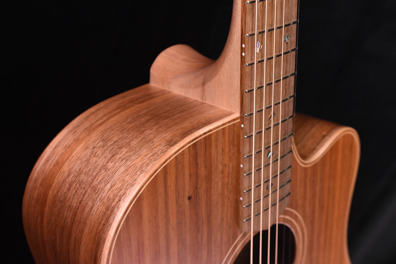 Cole Clark FL2EC All Blackwood Acoustic GuitarCCFL2EC-BLBL