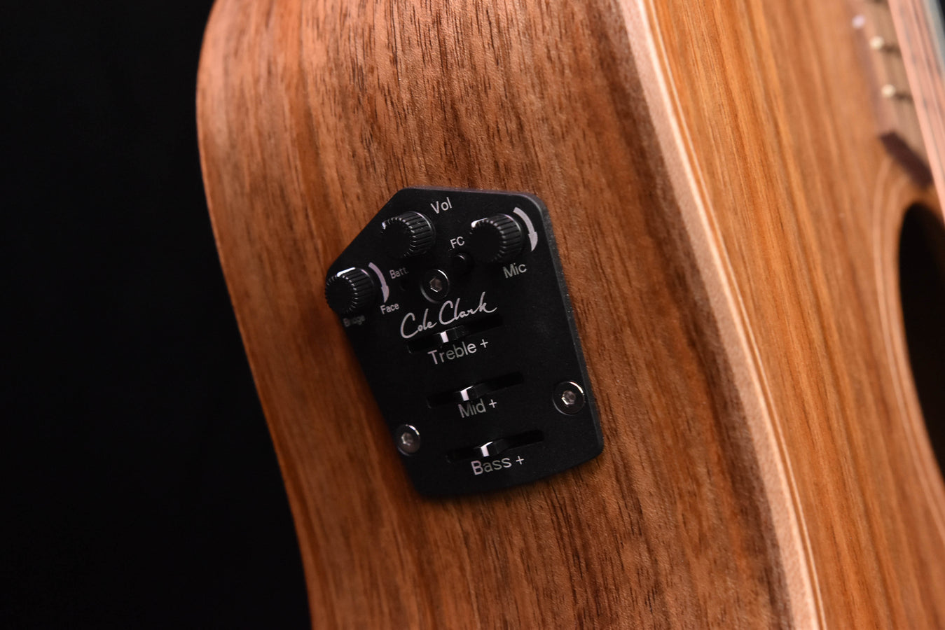 Cole Clark FL2EC All Blackwood Acoustic GuitarCCFL2EC-BLBL