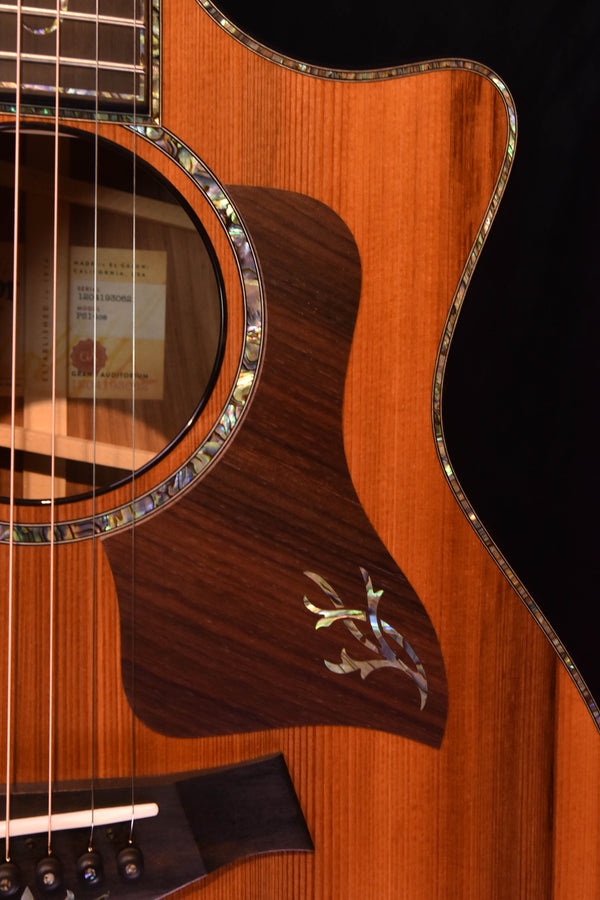 Acoustic electric guitar body close-up with fanned tail inlay and rosette rim