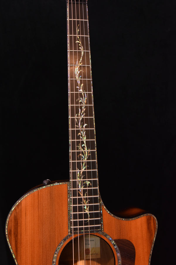Acoustic electric guitar headstock and fretboard with decorative inlay pattern on neck