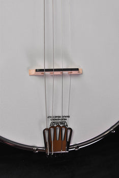 gold tone ac-4 it irish tenor banjo