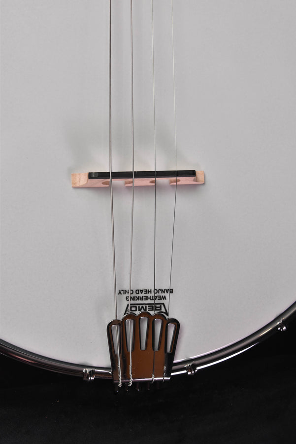 Gold Tone AC-4 IT Irish Tenor Banjo