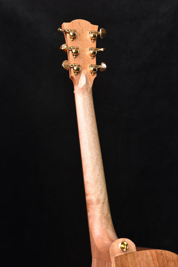 Cole Clark FL2EC All Blackwood Acoustic GuitarCCFL2EC-BLBL