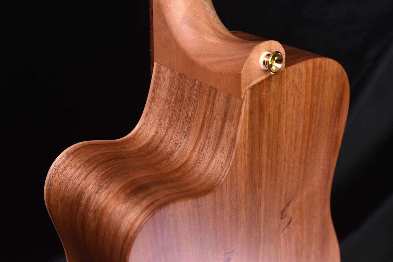 Cole Clark FL2EC All Blackwood Acoustic GuitarCCFL2EC-BLBL