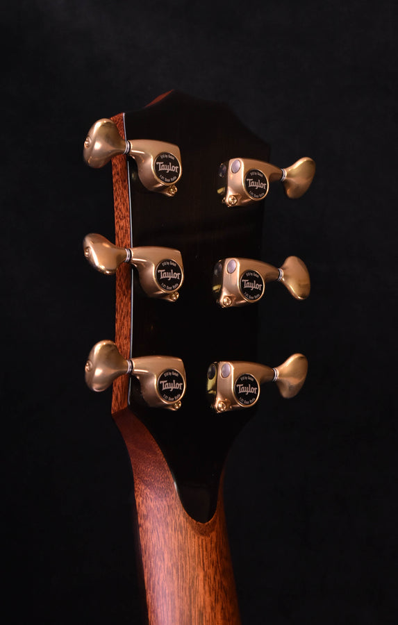 Gitarre Kopfplatte mit sechs Wirbeln in Metalloptik, dunkle Hölzer im Hals