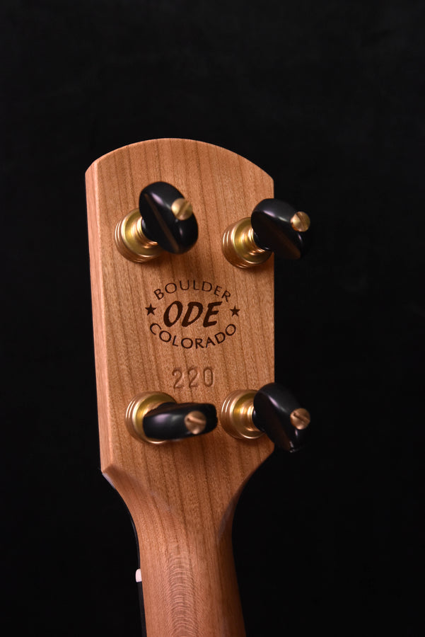 Ode 12" Magician Open Back Five String Banjo