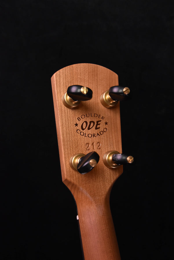 ODE 12" Magician Fretless Open Back Five String Banjo -Nylon Strings