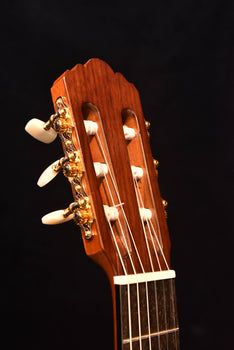 yamaha gc32s spruce top classical guitar