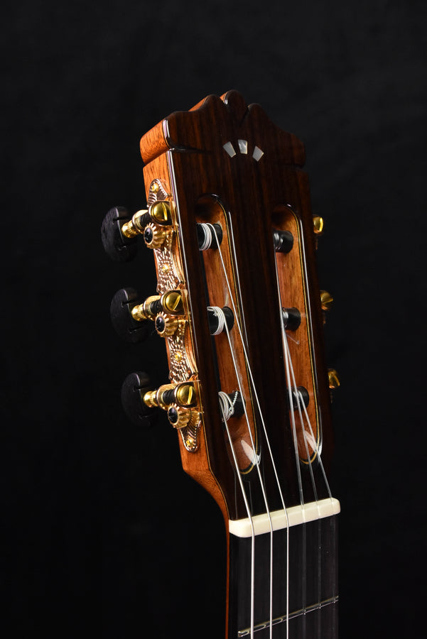 Cordoba C9 Classical Guitar Cedar Top with Polyfoam Case