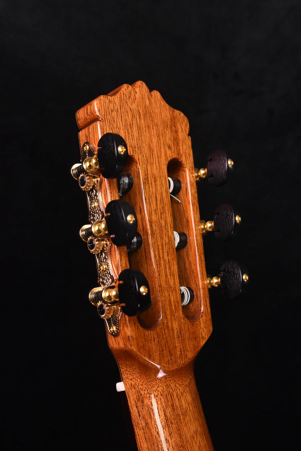 Cordoba C9 Classical Guitar Cedar Top with Polyfoam Case