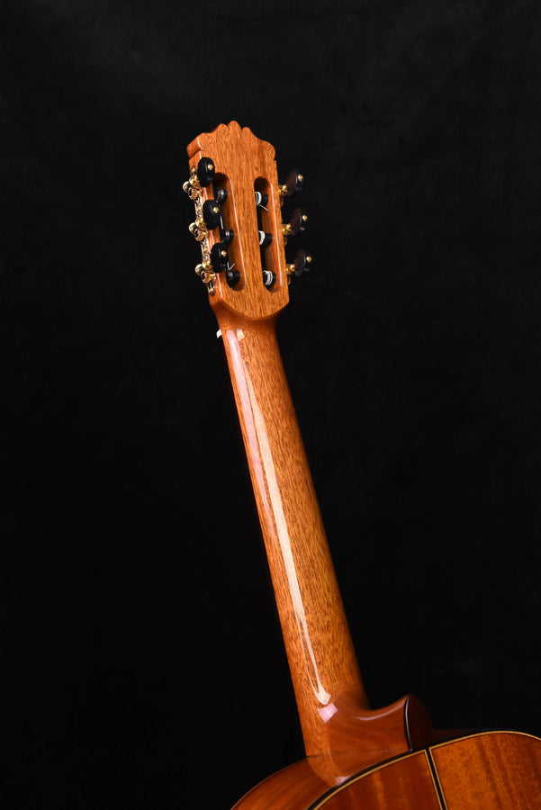 Cordoba C9 Classical Guitar Cedar Top with Polyfoam Case