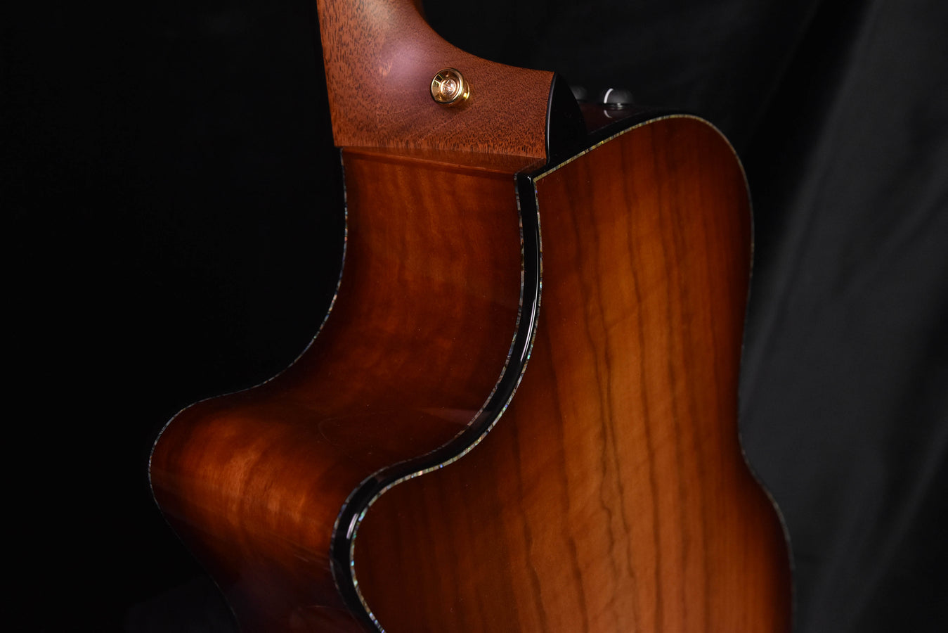 Taylor PS14CE LTD Figured Urban Ironbark/Redwood 50th Anniversary Edition