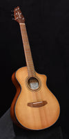 Used Breedlove Companion