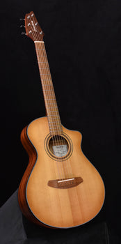 used breedlove companion