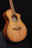 Used Breedlove Companion