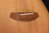 Used Breedlove Companion