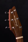 Used Breedlove Companion