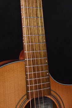 used breedlove companion