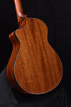 Used Breedlove Companion