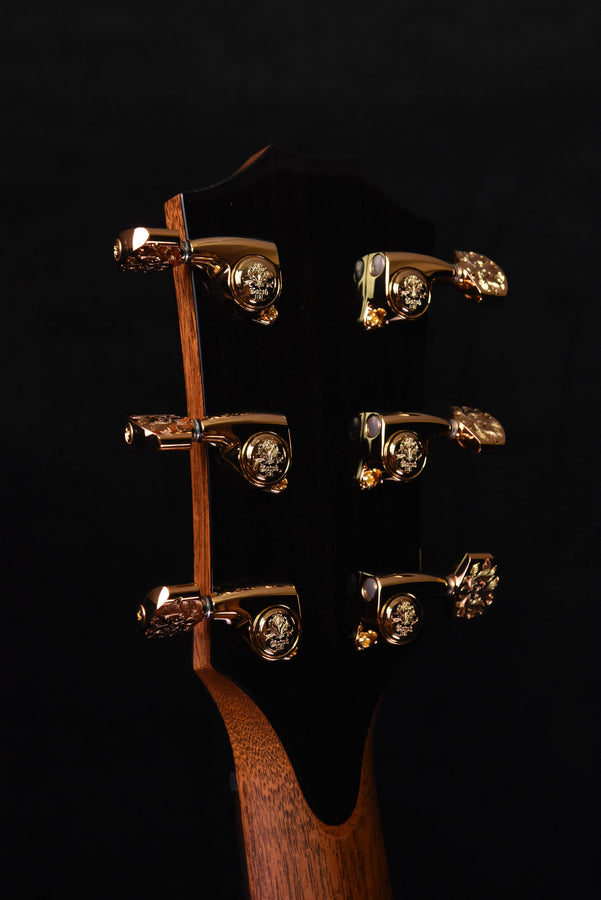 Taylor 50th Anniversary PS14CE LTD Cedar/Walnut Acoustic Guitar with Custom Walnut Circa 74 Amp