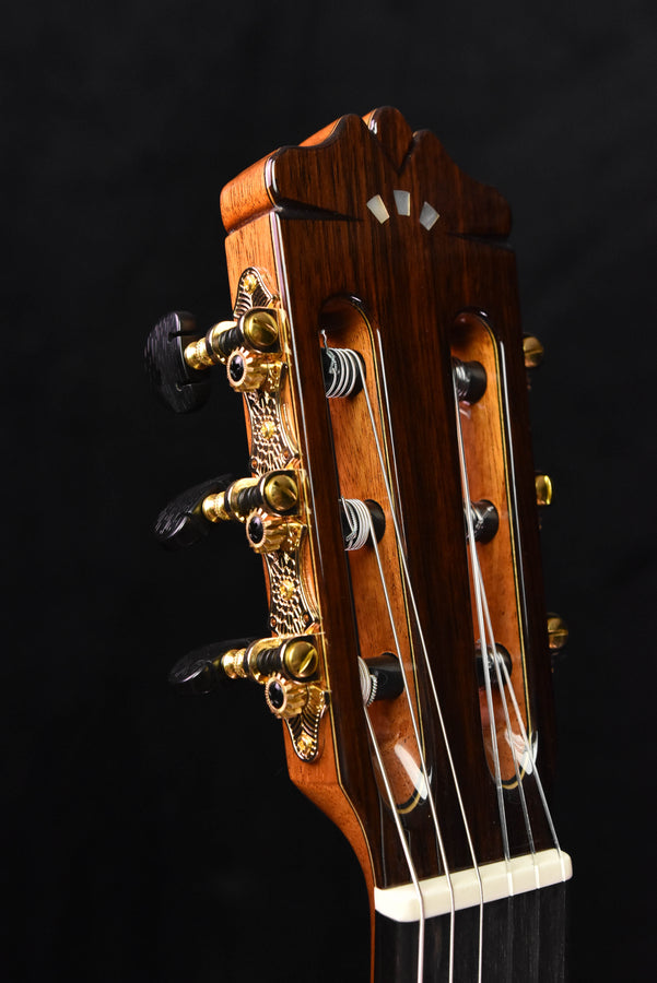 Cordoba F10 Flamenco Guitar with Rigid Polyfoam Case