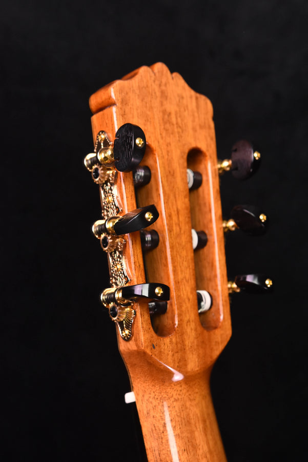 Cordoba F10 Flamenco Guitar with Rigid Polyfoam Case